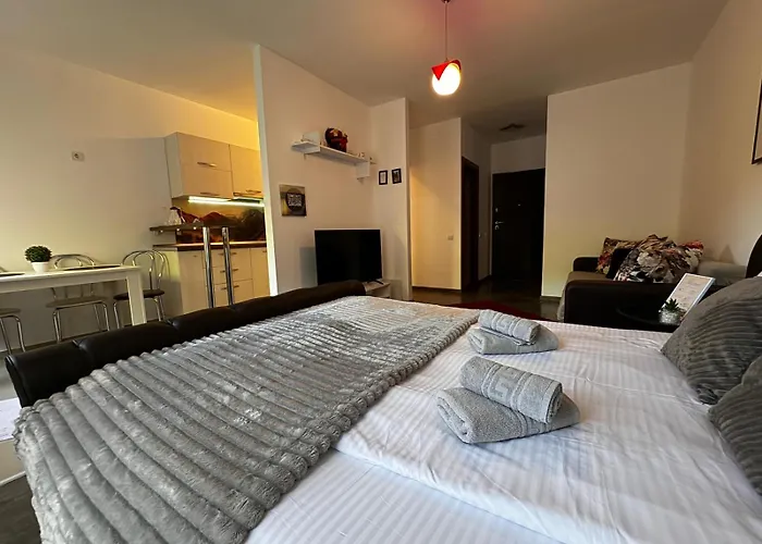 Appartement 13studiobv Braşov